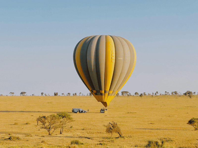 Hot air balloon over the plains of the Serengeti
