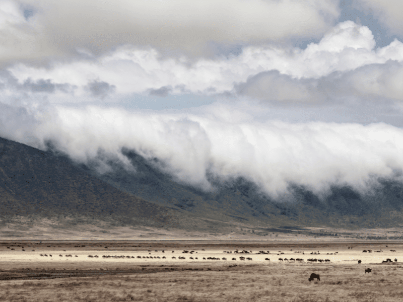 Explore The 7 Best Tanzania National Parks 2 ngorongoro crater