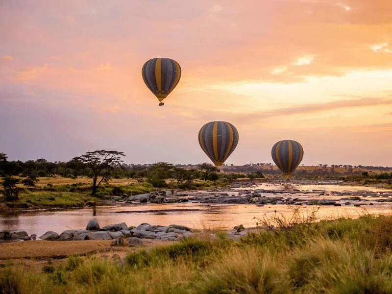 Explore The 7 Best Tanzania National Parks 1 serengeti tanzania national parks