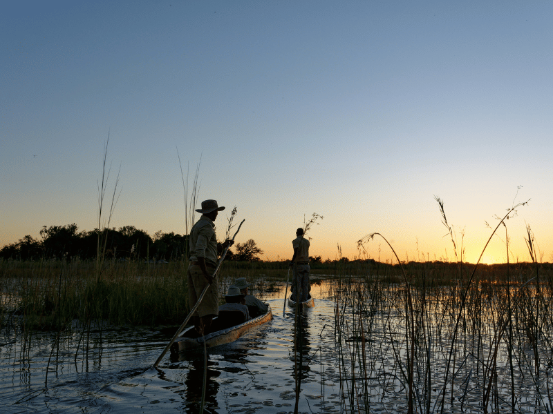 Best Time to Visit the Okavango Delta: What You Need to Know 1 2 mokoro canoes gliding through the delta with safari guests