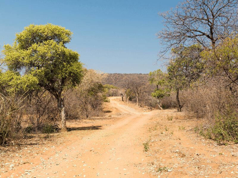 Desert road under hot sun in Botswana