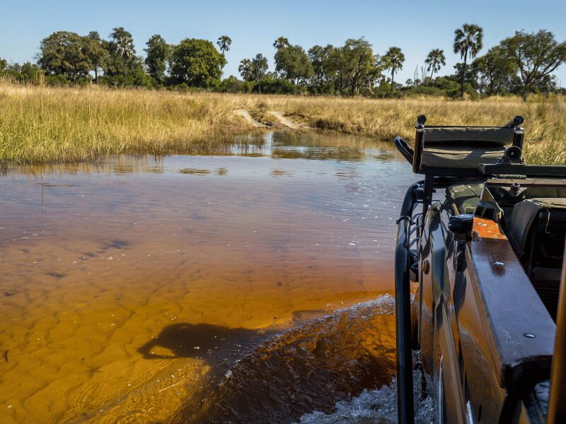 POV look of a safari vehicle driving through water in Botswana