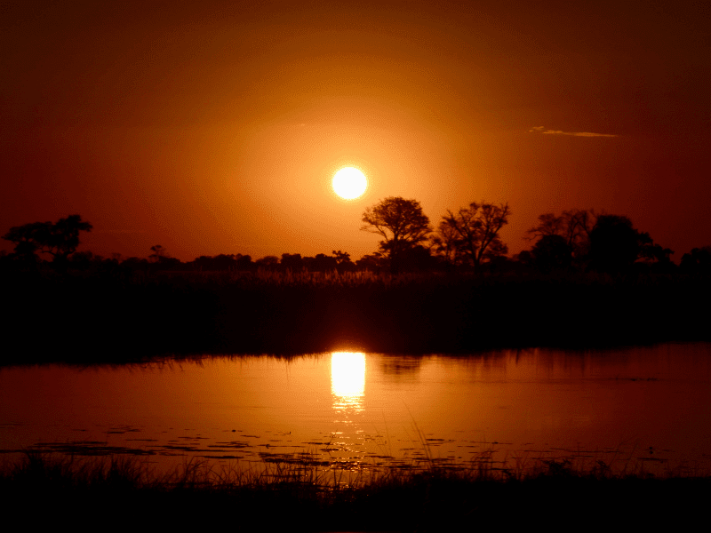 Best Time to Visit the Okavango Delta: What You Need to Know 2 Vibrant orange sunset reflecting over the water