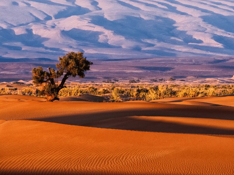 kalahari landscape with vibrant orange and purple dunes