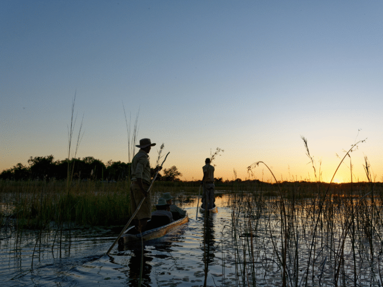 Tourists enjoying a traditional mokoro canoe ride through the Okavango Delta at sunset.