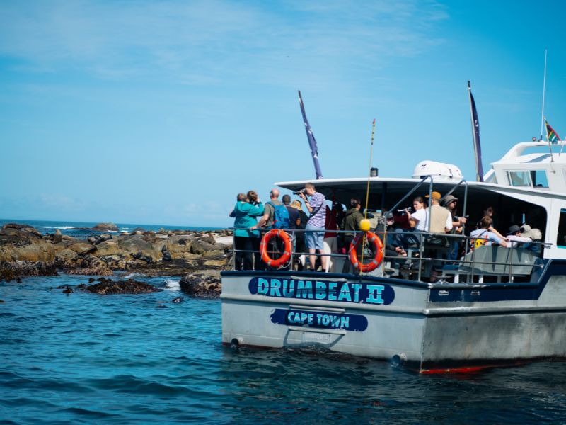 Duiker Island: Where to See Cape Fur Seals in South Africa’s Hout Bay 2 boat called drumbeat ii reaching duiker island