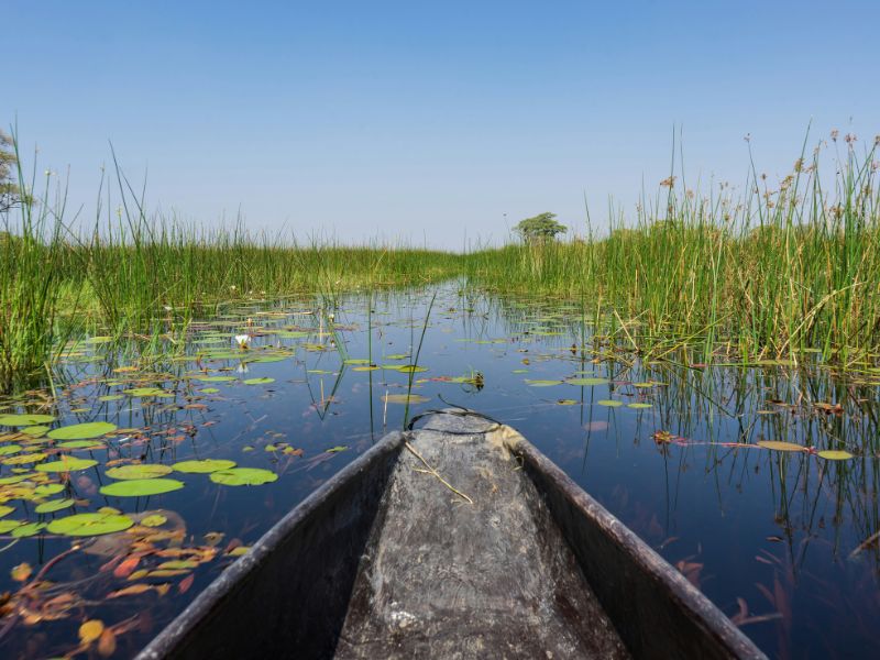 Chobe vs Okavango Delta: Which Safari Destination is Right for You? 3 pov of a mokoro boat gliding through the okavango delta