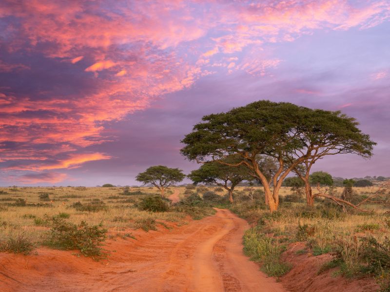 sunset over landscape in Uganda -  best time to visit uganda