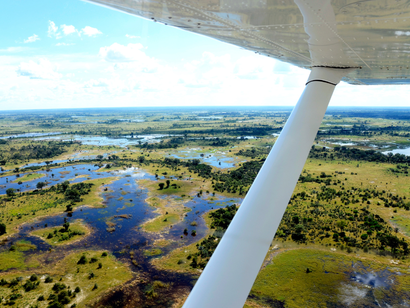 Scenic aerial view of the Okavango Delta from a small plane, showcasing winding water channels, lush green patches, and seasonal floodplains.