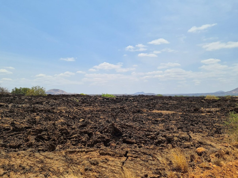 Expansive rocky and semi-arid landscape in Tsavo West National Park with scattered vegetation under a bright blue sky.