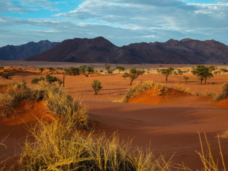 Golden sand dunes and dry grass under a partly cloudy sky in the Namib Desert, Namibia.