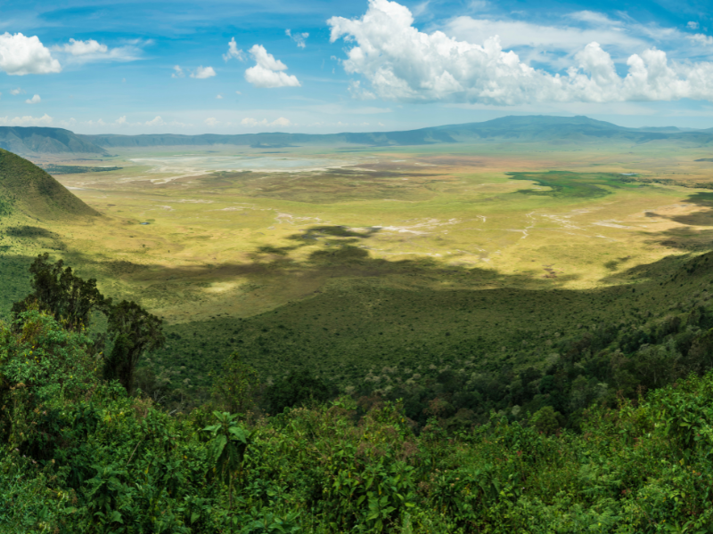 Panoramic view of the Ngorongoro Crater in Tanzania, showing expansive grassy plains surrounded by volcanic highlands under a blue sky.