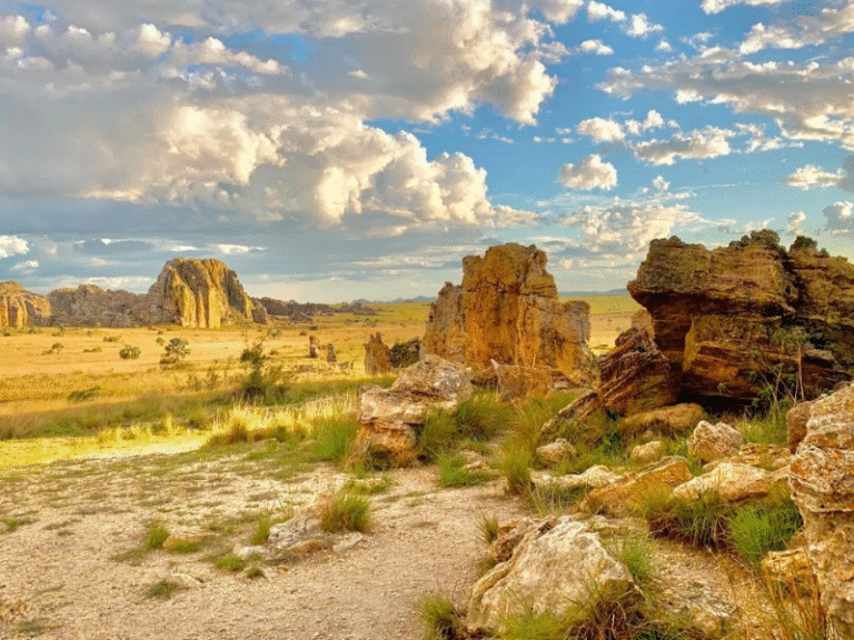 Golden rock formations and savanna landscapes in Isalo National Park, Madagascar, under a bright blue sky.