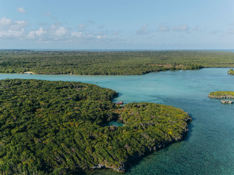 Aerial view of Mafia Island’s turquoise lagoons and dense green coastline in Tanzania.