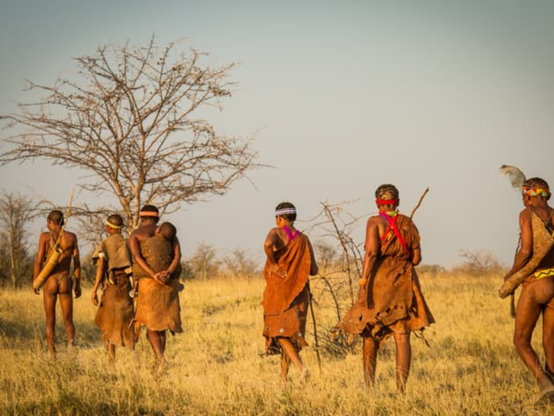 San Bushmen walking across golden grassland, dressed in traditional attire with bows and gathering tools.