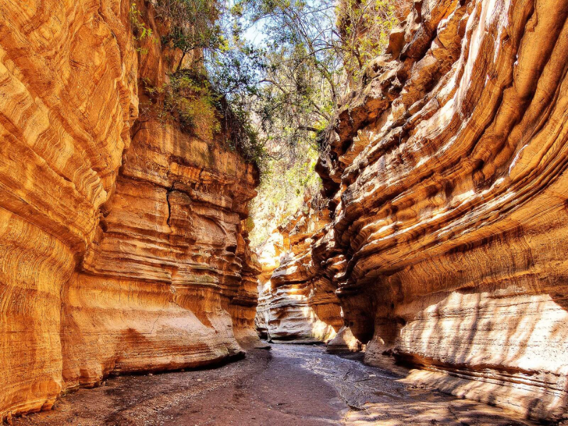 Narrow red-rock canyon in Hell’s Gate National Park with layered cliffs and sunlight filtering through.