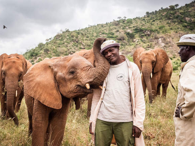 Keeper interacting affectionately with a baby elephant at Sheldrick Wildlife Trust.