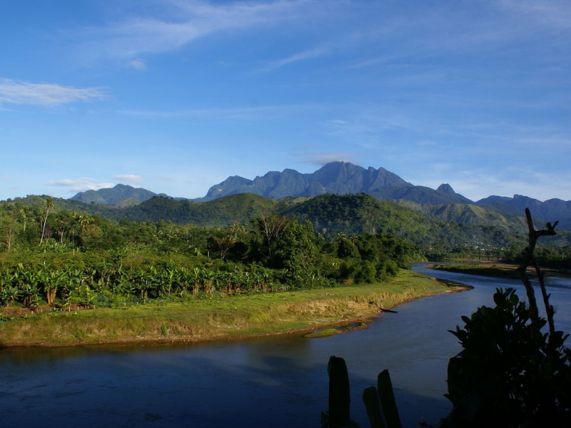 Mountainous rainforest scenery in Marojejy National Park, Madagascar.