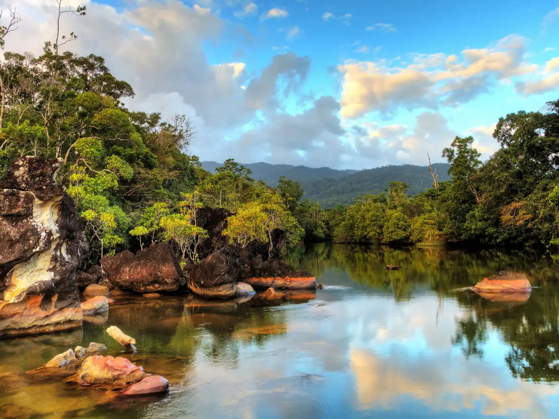 Rainforest waterfall flowing into a green pool inside Masoala National Park, Madagascar.