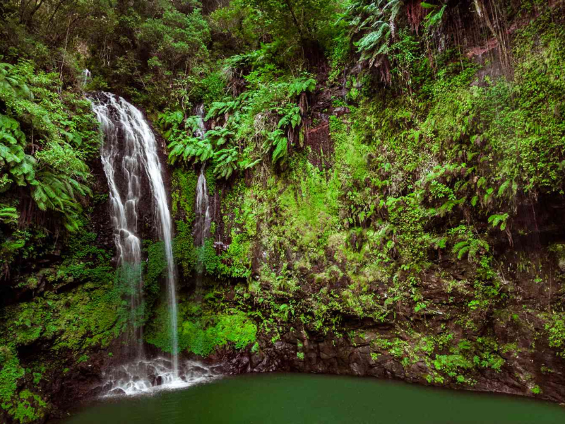 Waterfall cascading into a fern-covered crater pool in Montagne d’Ambre National Park.