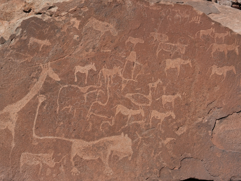 Close-up of ancient San rock engravings depicting animals on red sandstone at Twyfelfontein.