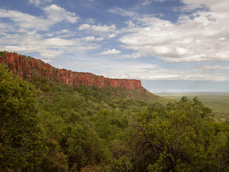 A dramatic red sandstone escarpment rising above lush green woodland at Waterberg Plateau.