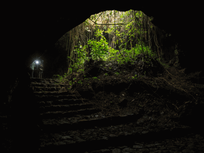 Visitors standing at the entrance of Musanze Lava Caves with light shining onto plants and rocky steps inside the cave.