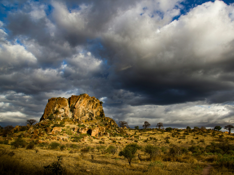 Rocky sandstone hill under dramatic clouds in Mapungubwe National Park with golden savannah in the foreground.