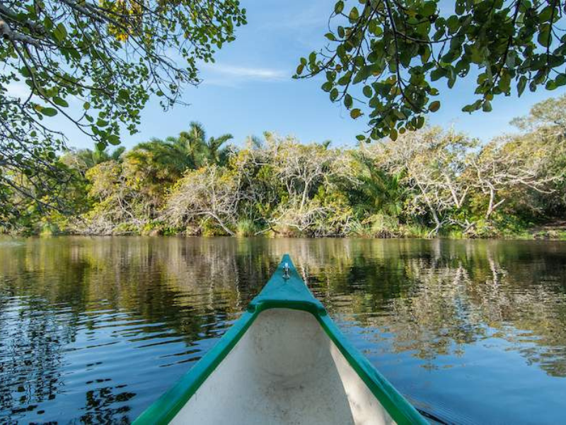View from a canoe along a calm lagoon surrounded by dense green forest in iSimangaliso Wetland Park.