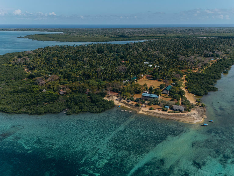 Mafia Island Tanzania: The Hidden Gem You’ll Wish You Found Sooner 5 Aerial view of a quiet tropical island with palm trees and shallow turquoise water