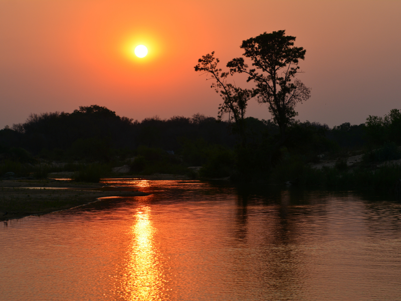 Orange sunset over a calm river with silhouetted trees and shimmering reflections on the water