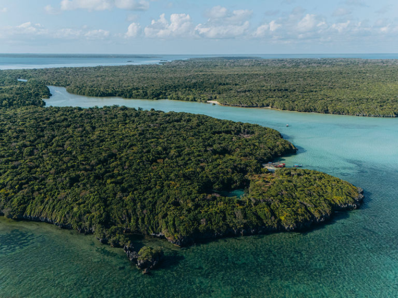 Mafia Island Tanzania: The Hidden Gem You’ll Wish You Found Sooner 1 Winding mangrove channels and shallow blue waterways ideal for slow exploration