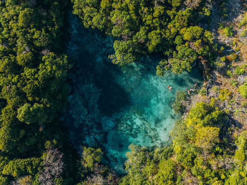 Mafia Island Tanzania: The Hidden Gem You’ll Wish You Found Sooner 2 Aerial view of turquoise lagoon and mangroves on Mafia Island Tanzania, surrounded by untouched forest