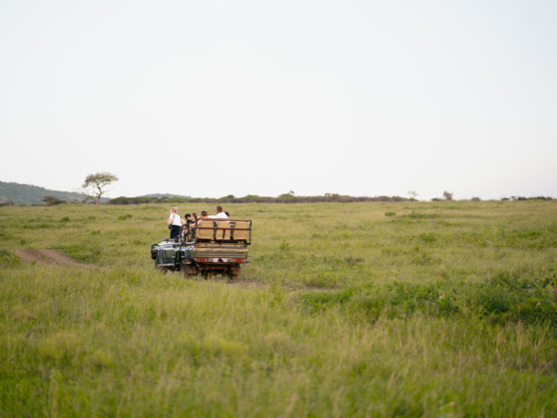 Safari vehicle driving through open grasslands on malaria free safaris in Midakwe