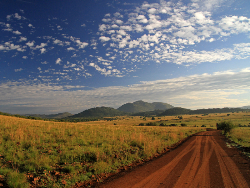 Open dirt road cutting through rolling hills in South Africa