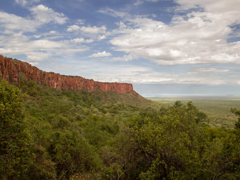 Lush forest and red cliff landscape in Waterberg