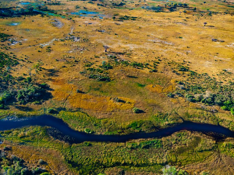 Aerial view of the Okavango Delta wetlands in Botswana during safari season.