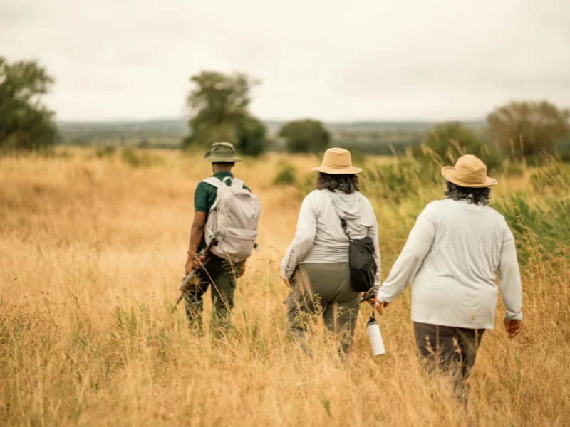 Safari Khaki Clothes: Do You Really Need Neutral Colors on Safari? 5 Small group walking through tall golden grass on a guided safari, carrying backpacks and cameras while exploring the landscape on foot.