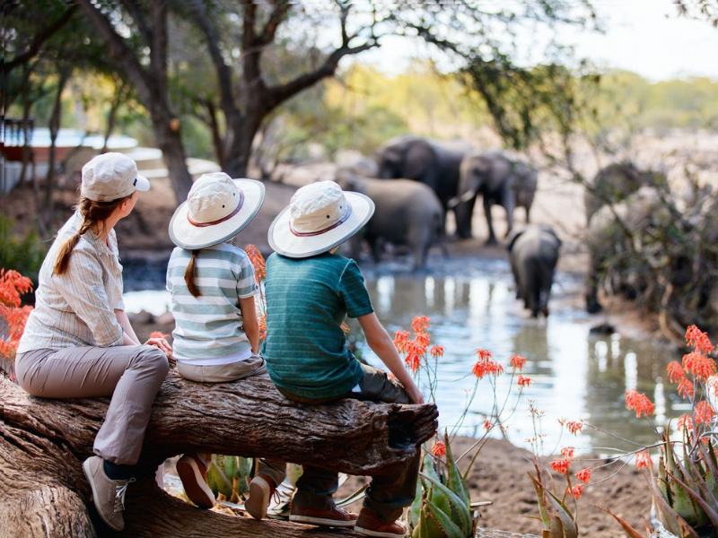 Children and an adult sitting quietly near a waterhole watching elephants drink, showing a calm and intimate wildlife encounter.