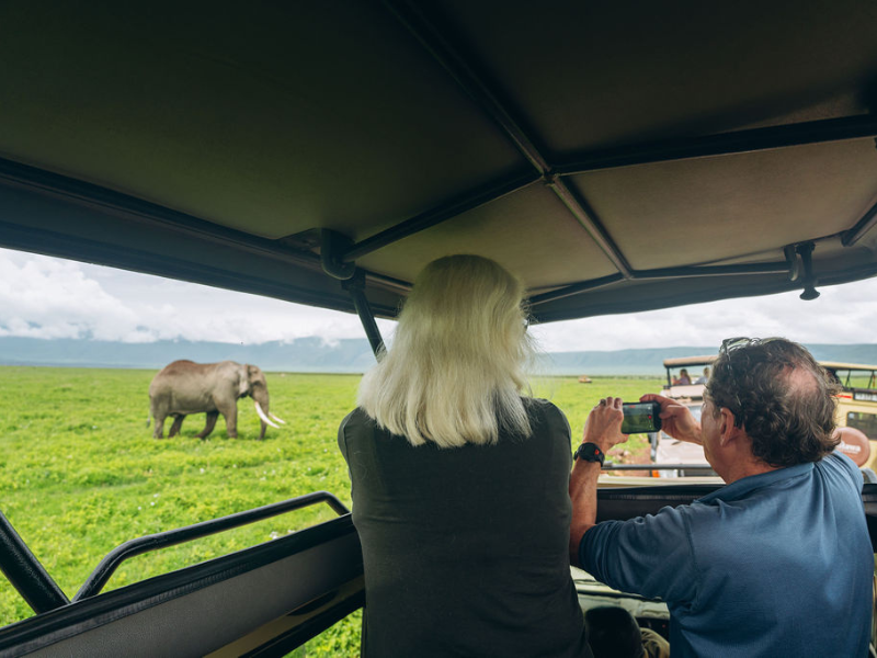 Couple on a game drive photographing an elephant from an open safari vehicle, capturing the close-up wildlife encounters typical on safari.