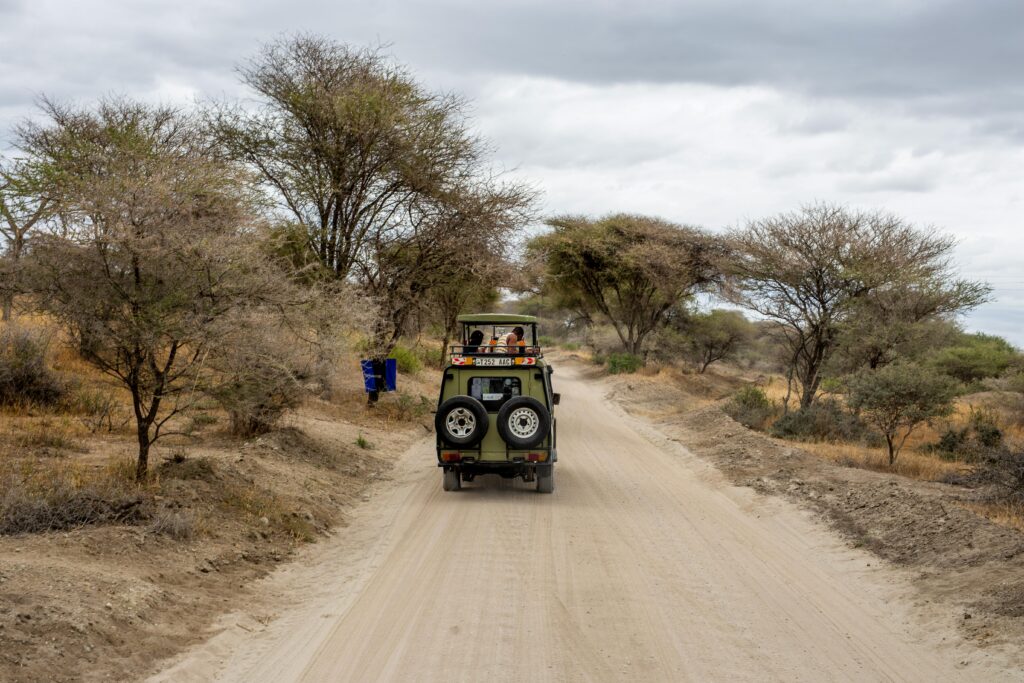 photo
Safari vehicle driving along a dusty road lined with acacia trees in northern Tanzania, capturing the classic scenery of a Lake Manyara National Park Safari Guide experience.