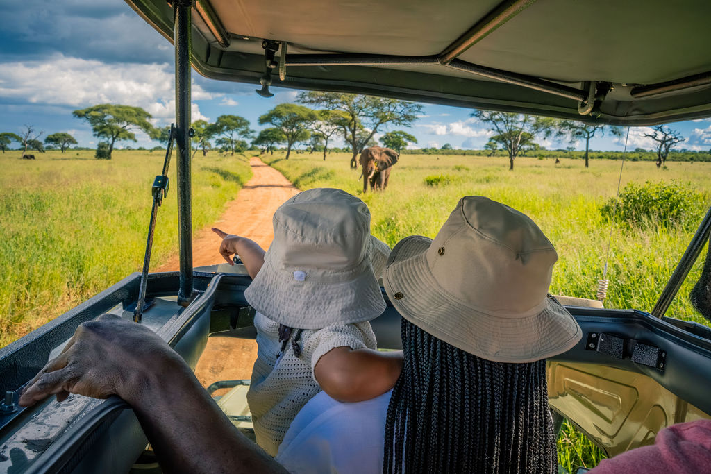 Family enjoying a safari game drive with young children pointing excitedly at an elephant in the distance across the savannah.