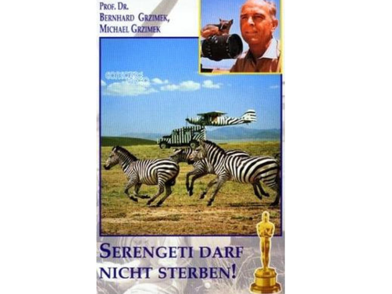 What to Books to Read on Safari (And Why It Changes the Trip) 1