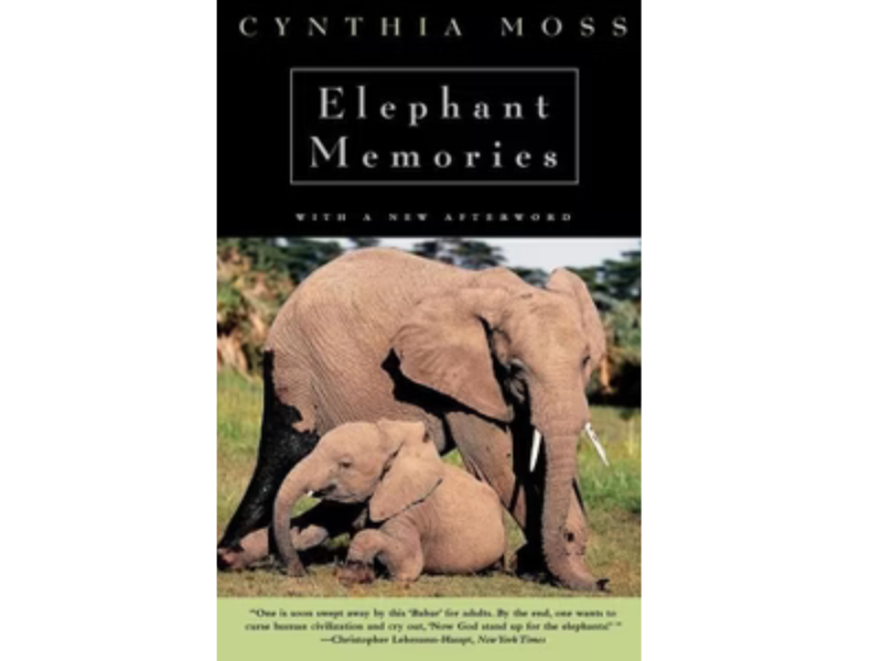 Moss spent thirteen years following the same elephant families in Amboseli National Park in
Kenya. More scientific than The Elephant Whisperer but no less moving. The naming system
she developed for the families makes each elephant feel like someone you have actually met.
For anyone who wants to understand elephant social structure before a game drive, this is the
most thorough source on the list.