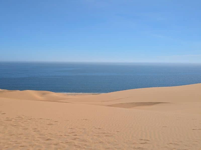 Best Places to Visit in Namibia: A First-Hand Guide 4 Sand dunes meeting the cold Atlantic Ocean at Sandwich Harbour near Swakopmund, Namibia