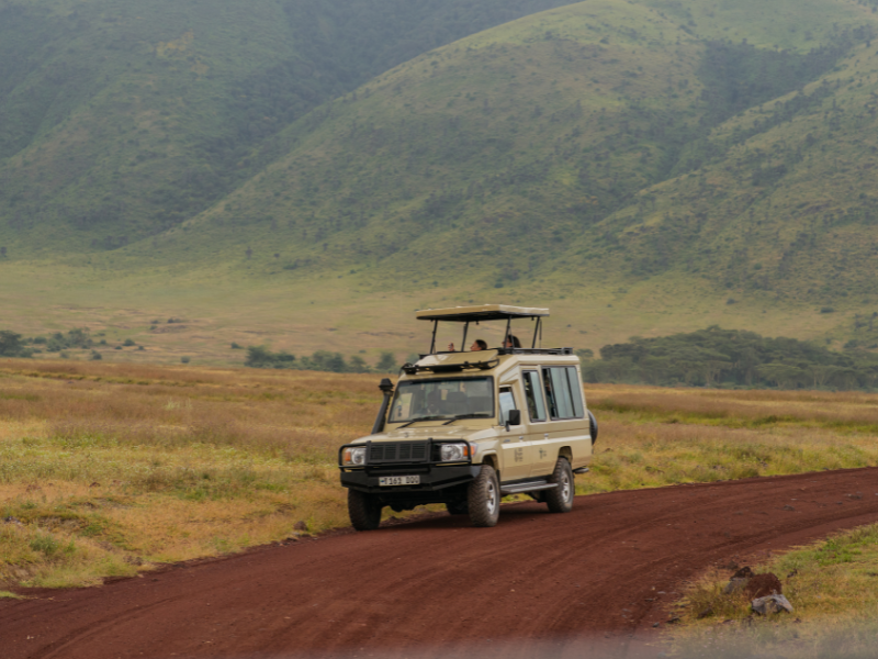Travelers enjoying wildlife viewing from inside a pop-up roof safari vehicle during a game drive