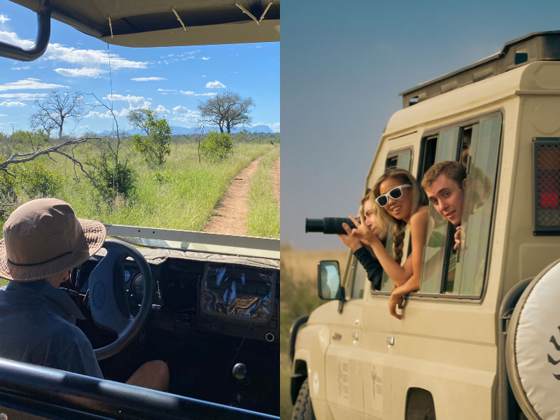Self-drive safari vs. Guided safari