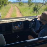 self drive safari vs guided safari