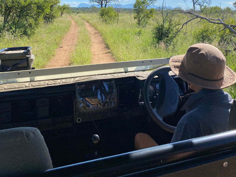 self drive safari vs guided safari