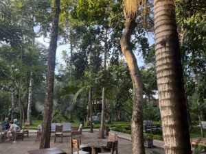 Where to Stay on Safari in Northern Tanzania: An Honest Review of 3 Lodges I Stayed At 2